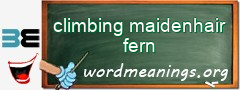 WordMeaning blackboard for climbing maidenhair fern